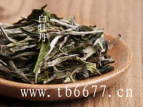 极品白茶多少钱一斤