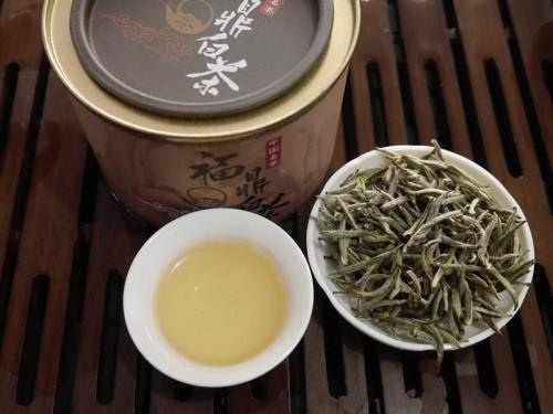 政和白茶和福鼎白茶之间，最大的区别是在哪里？