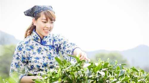 福建福鼎市太姥山镇